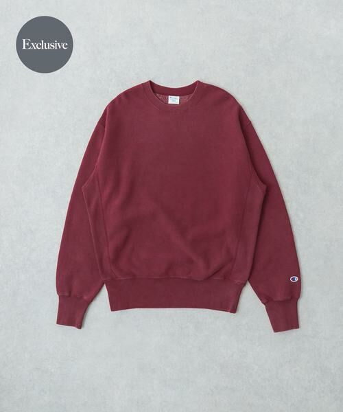 URBAN RESEARCH / アーバンリサーチ スウェット | 『別注』CHAMPION×URBAN RESEARCH　SNOW POWDER WASH CREW-NECK | 詳細2