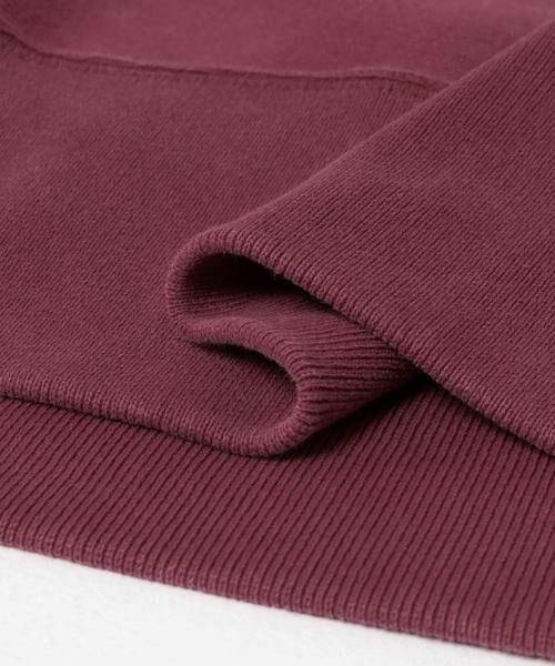 URBAN RESEARCH / アーバンリサーチ スウェット | 『別注』CHAMPION×URBAN RESEARCH　SNOW POWDER WASH CREW-NECK | 詳細5