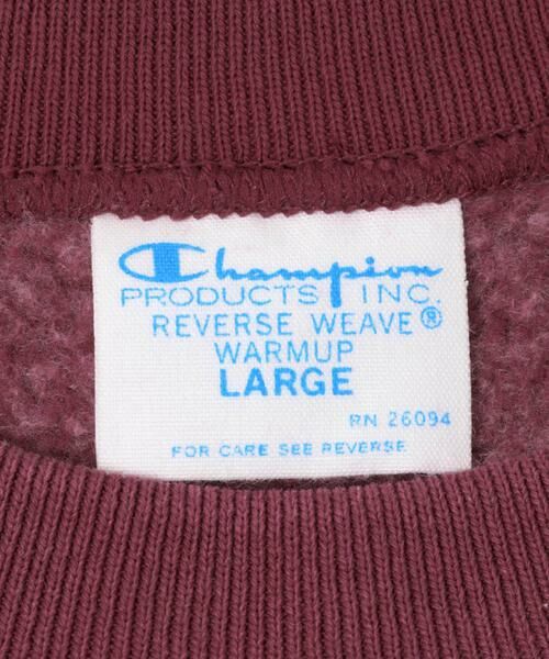 URBAN RESEARCH / アーバンリサーチ スウェット | 『別注』CHAMPION×URBAN RESEARCH　SNOW POWDER WASH CREW-NECK | 詳細6