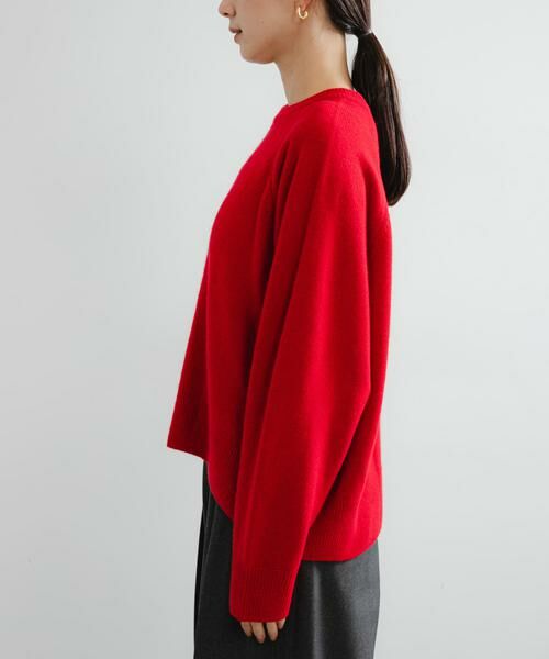 URBAN RESEARCH / アーバンリサーチ ニット・セーター | カシミヤ強縮クルーネックニット | 詳細9