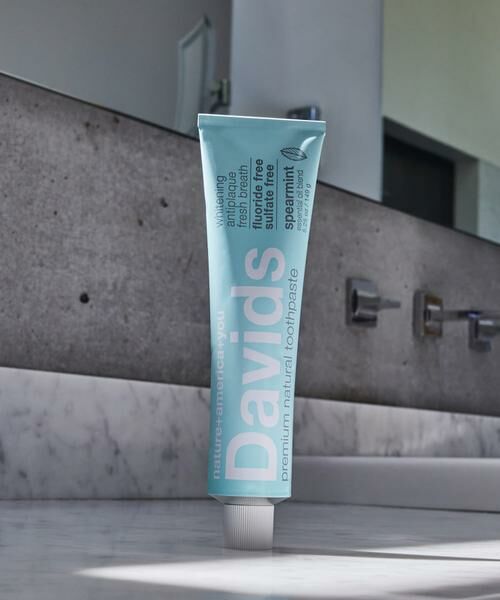 URBAN RESEARCH/A[oT[` wWEBxDavids TOOTHPASTE-spearmint ̑1 -