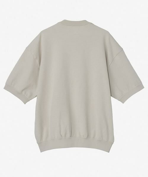 URBAN RESEARCH / アーバンリサーチ ニット・セーター | THE NORTH FACE　SHORT-SLEEVE RIPPLE KNIT CREW | 詳細2