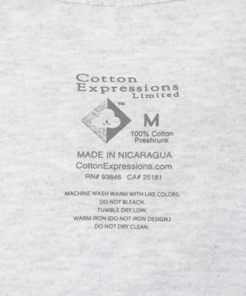 URBAN RESEARCH / アーバンリサーチ Tシャツ | Cotton Expressions　EVOLUTION | 詳細9