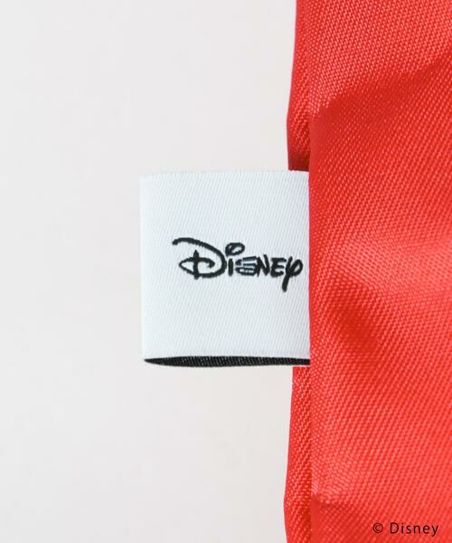 URBAN RESEARCH / アーバンリサーチ リュック・バックパック | 別注/Disney/2WAYナップサック | 詳細9