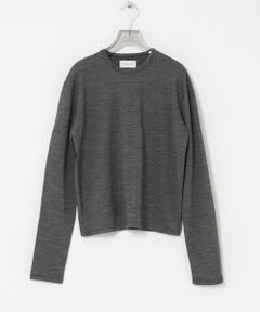 URBAN RESEARCH / アーバンリサーチ Tシャツ | new basic　WASHABLE WOOL STRUCT TOPS