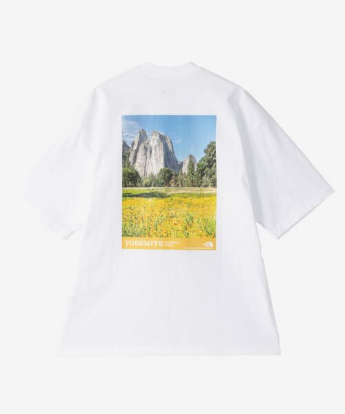 URBAN RESEARCH DOORS / アーバンリサーチ ドアーズ Tシャツ | THE NORTH FACE　Short-Sleeve Yosemite Scenery Tee | 詳細9