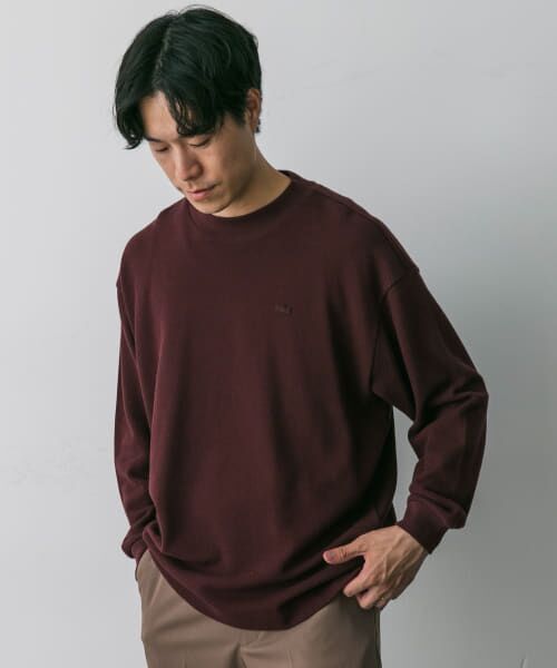 URBAN RESEARCH DOORS / アーバンリサーチ ドアーズ Tシャツ | 『別注』LACOSTE×DOORS　thick pique mock Long-Sleeve | 詳細11