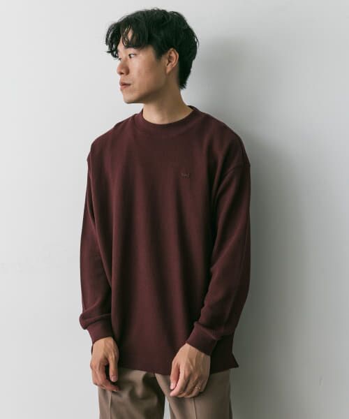 URBAN RESEARCH DOORS / アーバンリサーチ ドアーズ Tシャツ | 『別注』LACOSTE×DOORS　thick pique mock Long-Sleeve | 詳細12