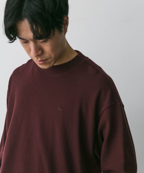 URBAN RESEARCH DOORS / アーバンリサーチ ドアーズ Tシャツ | 『別注』LACOSTE×DOORS　thick pique mock Long-Sleeve | 詳細13