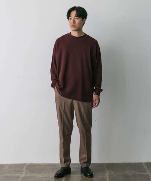 URBAN RESEARCH DOORS / アーバンリサーチ ドアーズ Tシャツ | 『別注』LACOSTE×DOORS　thick pique mock Long-Sleeve | 詳細14