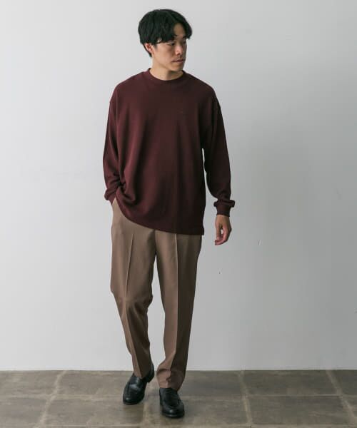 URBAN RESEARCH DOORS / アーバンリサーチ ドアーズ Tシャツ | 『別注』LACOSTE×DOORS　thick pique mock Long-Sleeve | 詳細15