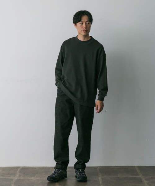 URBAN RESEARCH DOORS / アーバンリサーチ ドアーズ Tシャツ | 『別注』LACOSTE×DOORS　thick pique mock Long-Sleeve | 詳細21