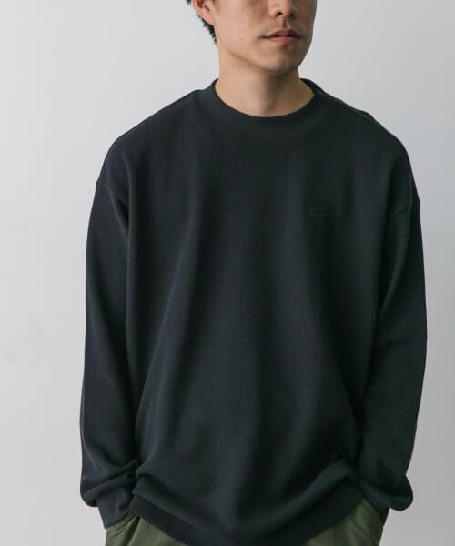 URBAN RESEARCH DOORS / アーバンリサーチ ドアーズ Tシャツ | 『別注』LACOSTE×DOORS　thick pique mock Long-Sleeve | 詳細27