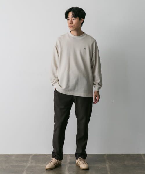 URBAN RESEARCH DOORS / アーバンリサーチ ドアーズ Tシャツ | 『別注』LACOSTE×DOORS　thick pique mock Long-Sleeve | 詳細7