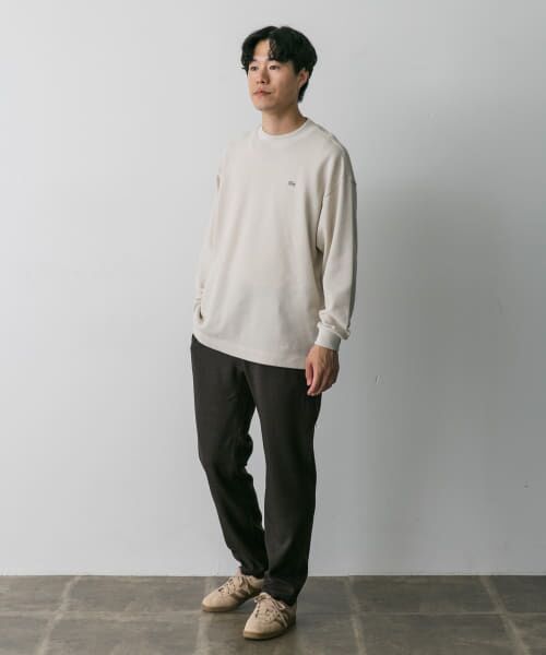 URBAN RESEARCH DOORS / アーバンリサーチ ドアーズ Tシャツ | 『別注』LACOSTE×DOORS　thick pique mock Long-Sleeve | 詳細8