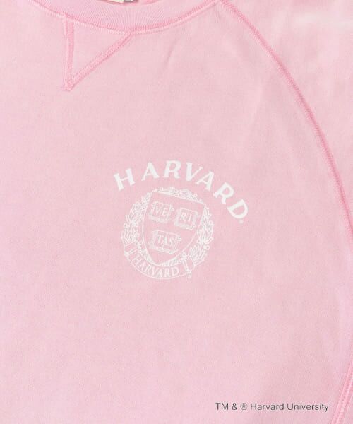 URBAN RESEARCH DOORS / アーバンリサーチ ドアーズ Tシャツ | 『一部別注カラー』GOOD ROCK SPEED　HARVARD UNIVERSITY | 詳細10