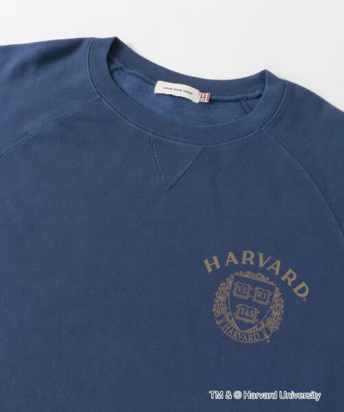 URBAN RESEARCH DOORS / アーバンリサーチ ドアーズ Tシャツ | 『一部別注カラー』GOOD ROCK SPEED　HARVARD UNIVERSITY | 詳細19