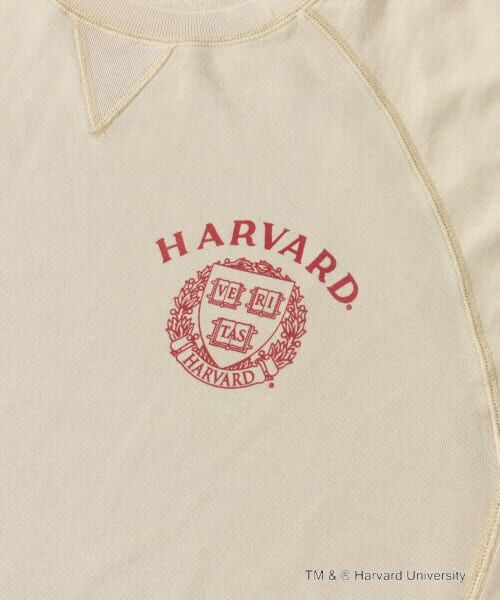 URBAN RESEARCH DOORS / アーバンリサーチ ドアーズ Tシャツ | 『一部別注カラー』GOOD ROCK SPEED　HARVARD UNIVERSITY | 詳細24