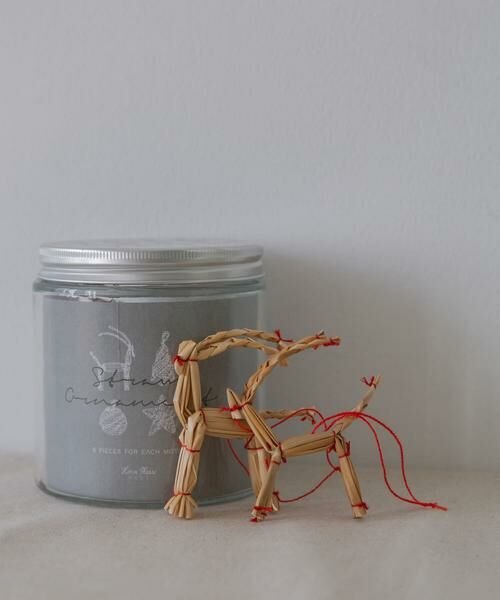 URBAN RESEARCH DOORS / アーバンリサーチ ドアーズ インテリア・インテリア雑貨 | shesay　ボトリング ストローオーナメントセット | 詳細5