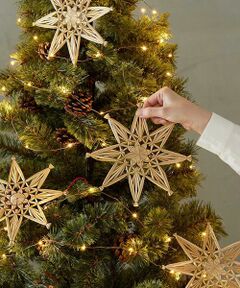 URBAN RESEARCH DOORS / アーバンリサーチ ドアーズ インテリア・インテリア雑貨 | 『WEB/一部店舗限定』shesay　ストローオーナメント 3枚入