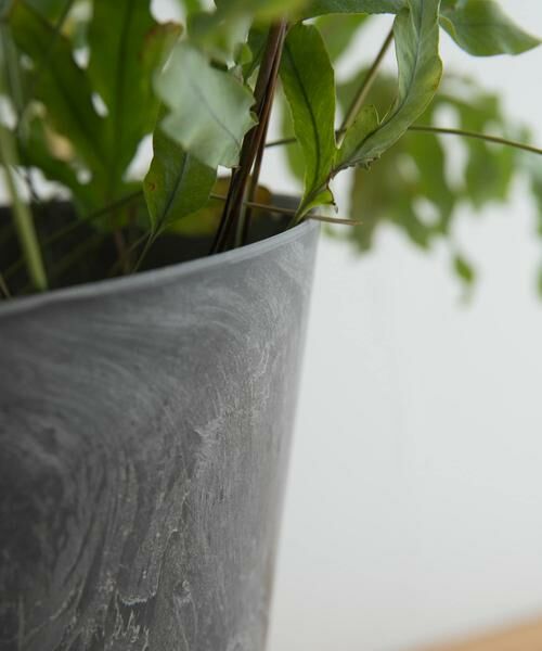 URBAN RESEARCH DOORS / アーバンリサーチ ドアーズ その他雑貨 | 『WEB限定』amabro　ART STONE M | 詳細3