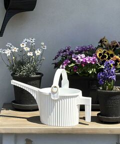 URBAN RESEARCH DOORS / アーバンリサーチ ドアーズ その他雑貨 | Hachiman gardens　ガーデンビートル 1.5L