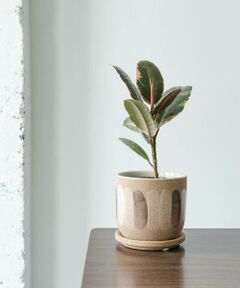 URBAN RESEARCH DOORS / アーバンリサーチ ドアーズ その他雑貨 | FARM　デシレ 11C