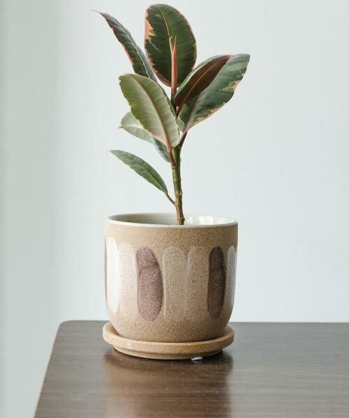 URBAN RESEARCH DOORS / アーバンリサーチ ドアーズ その他雑貨 | FARM　デシレ 11C | 詳細1