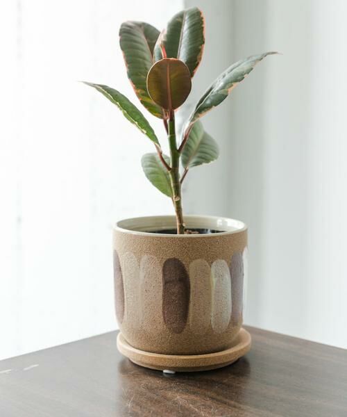 URBAN RESEARCH DOORS / アーバンリサーチ ドアーズ その他雑貨 | FARM　デシレ 11C | 詳細2