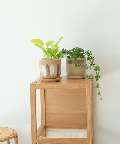 URBAN RESEARCH DOORS / アーバンリサーチ ドアーズ その他雑貨 | FARM　デシレ 11C | 詳細5