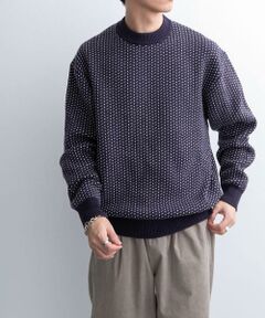 URBAN RESEARCH DOORS / アーバンリサーチ ドアーズ ニット・セーター | FORK&SPOON　バーズアイクルーネックニット