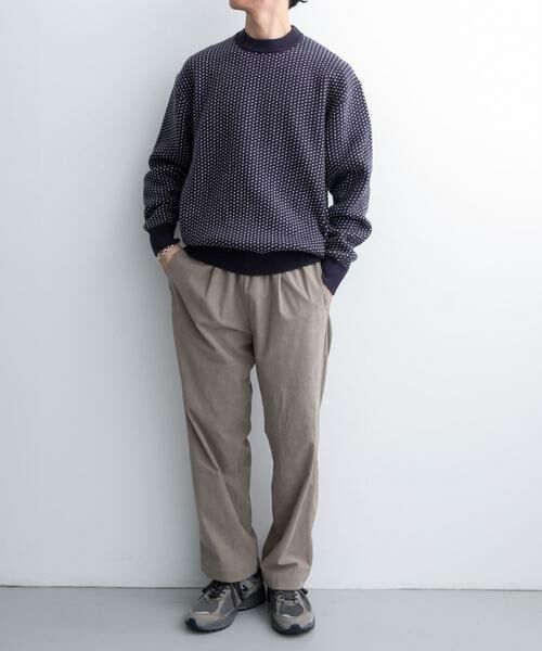 URBAN RESEARCH DOORS / アーバンリサーチ ドアーズ ニット・セーター | FORK&SPOON　バーズアイクルーネックニット | 詳細5