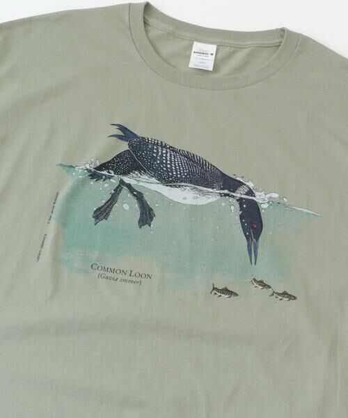 URBAN RESEARCH DOORS / アーバンリサーチ ドアーズ Tシャツ | LIBERTY GRAPHICS　Feeding Loon | 詳細5