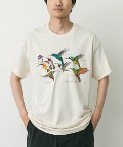 URBAN RESEARCH DOORS / アーバンリサーチ ドアーズ Tシャツ | LIBERTY GRAPHICS　Hummingbirds