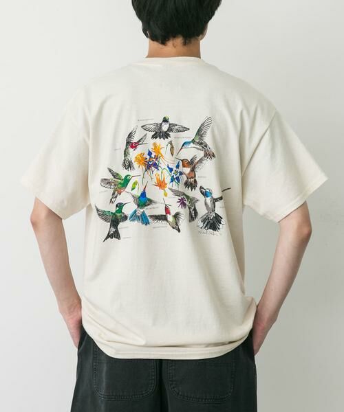 URBAN RESEARCH DOORS / アーバンリサーチ ドアーズ Tシャツ | LIBERTY GRAPHICS　Hummingbirds | 詳細1