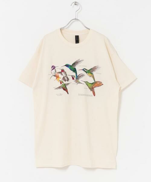 URBAN RESEARCH DOORS / アーバンリサーチ ドアーズ Tシャツ | LIBERTY GRAPHICS　Hummingbirds | 詳細5