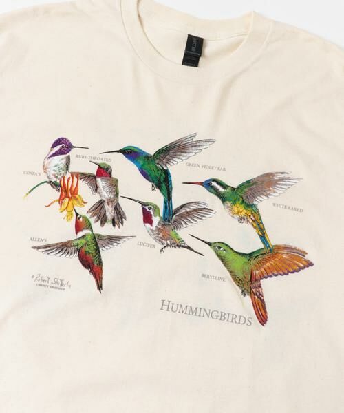 URBAN RESEARCH DOORS / アーバンリサーチ ドアーズ Tシャツ | LIBERTY GRAPHICS　Hummingbirds | 詳細6