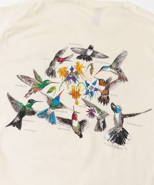 URBAN RESEARCH DOORS / アーバンリサーチ ドアーズ Tシャツ | LIBERTY GRAPHICS　Hummingbirds | 詳細8