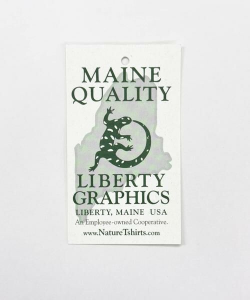 URBAN RESEARCH DOORS / アーバンリサーチ ドアーズ Tシャツ | LIBERTY GRAPHICS　North American Classics | 詳細10