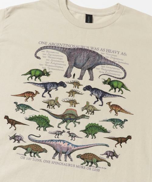 URBAN RESEARCH DOORS / アーバンリサーチ ドアーズ Tシャツ | LIBERTY GRAPHICS　One Dinosaur is… | 詳細5