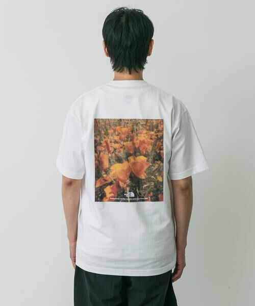 URBAN RESEARCH DOORS / アーバンリサーチ ドアーズ Tシャツ | THE NORTH FACE　Short-Sleeve FDPixelPlantCottonTee | 詳細7