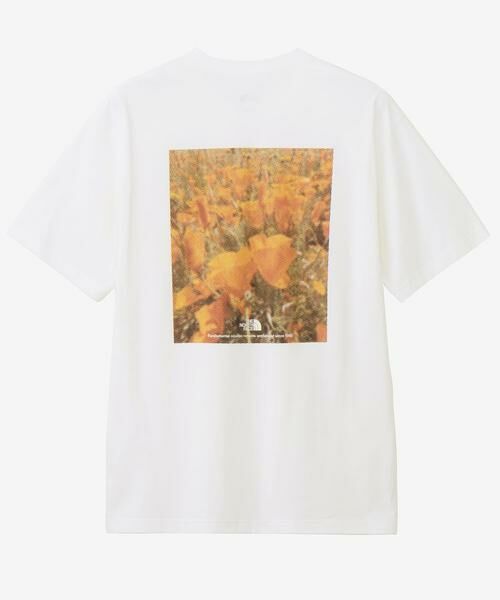 URBAN RESEARCH DOORS / アーバンリサーチ ドアーズ Tシャツ | THE NORTH FACE　Short-Sleeve FDPixelPlantCottonTee | 詳細9
