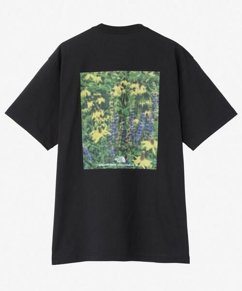URBAN RESEARCH DOORS / アーバンリサーチ ドアーズ Tシャツ | THE NORTH FACE　Short-Sleeve FDPixelPlantCottonTee | 詳細12