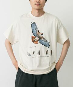 URBAN RESEARCH DOORS / アーバンリサーチ ドアーズ Tシャツ | LIBERTY GRAPHICS　Sibleys Red-tailed Hawk