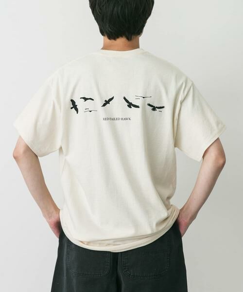 URBAN RESEARCH DOORS / アーバンリサーチ ドアーズ Tシャツ | LIBERTY GRAPHICS　Sibleys Red-tailed Hawk | 詳細1