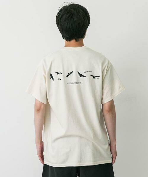 URBAN RESEARCH DOORS / アーバンリサーチ ドアーズ Tシャツ | LIBERTY GRAPHICS　Sibleys Red-tailed Hawk | 詳細4