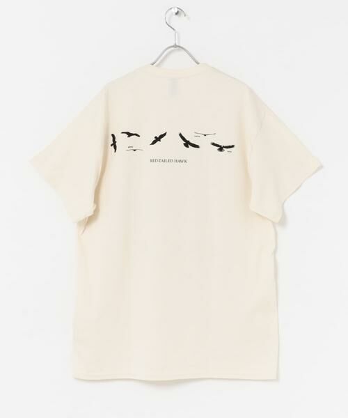 URBAN RESEARCH DOORS / アーバンリサーチ ドアーズ Tシャツ | LIBERTY GRAPHICS　Sibleys Red-tailed Hawk | 詳細7