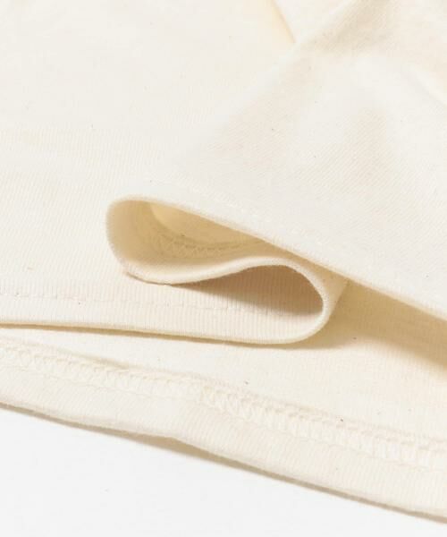 URBAN RESEARCH DOORS / アーバンリサーチ ドアーズ Tシャツ | LIBERTY GRAPHICS　Sibleys Red-tailed Hawk | 詳細9