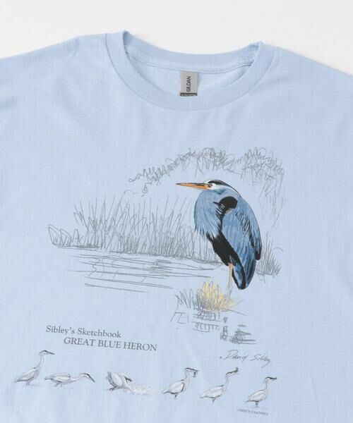 URBAN RESEARCH DOORS / アーバンリサーチ ドアーズ Tシャツ | LIBERTY GRAPHICS　Sibleys Great Blue Heron | 詳細5