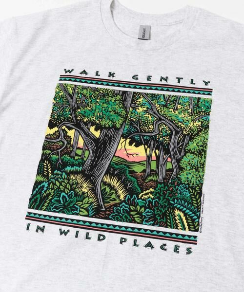 URBAN RESEARCH DOORS / アーバンリサーチ ドアーズ Tシャツ | LIBERTY GRAPHICS　Walk Gently | 詳細5